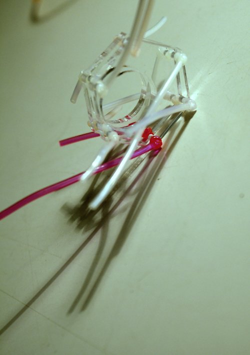 Prsten — foto 2