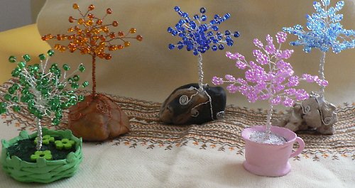 Korálovec Okrasný — foto 6