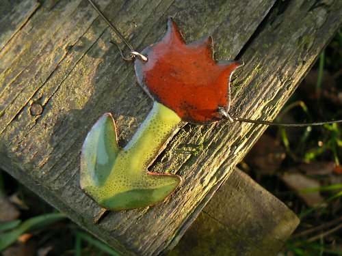 Rudý tulipán — foto 2