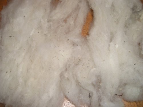 Česaná vlna — foto 2