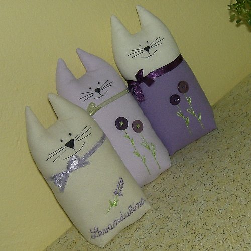 Kočičí trio — foto 2