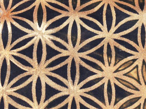 Flower of Life — foto 6