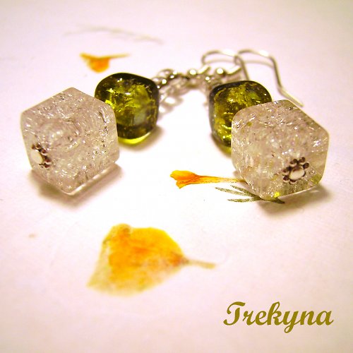 Kostičky I. — foto 3