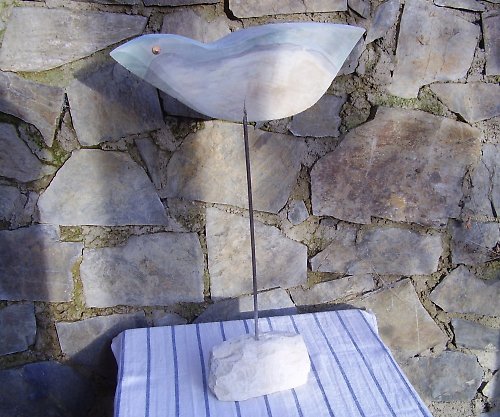 Rybí ptáček V — foto 2