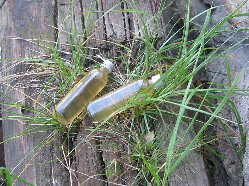 Mátový sirup — foto 3