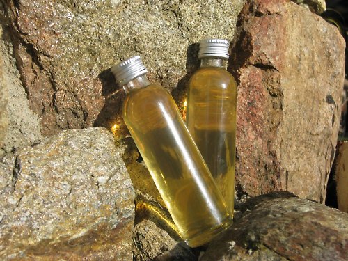 Mátový sirup — foto 5