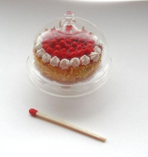 Přiobjednání miniatur - na přání — foto 2