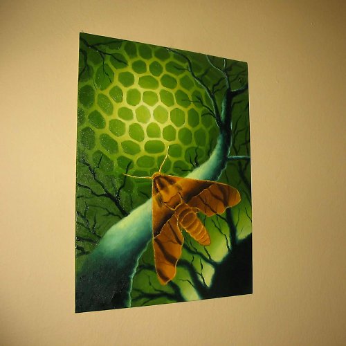 Mimikry — foto 3