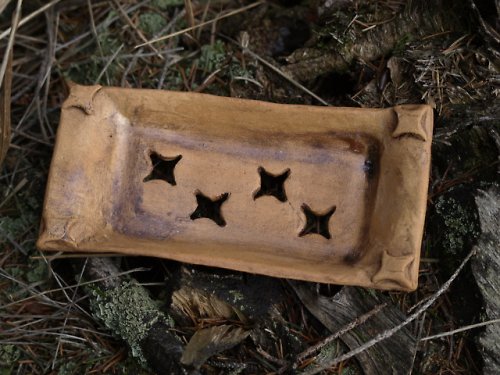 Mýdlenka hvězdičky — foto 2