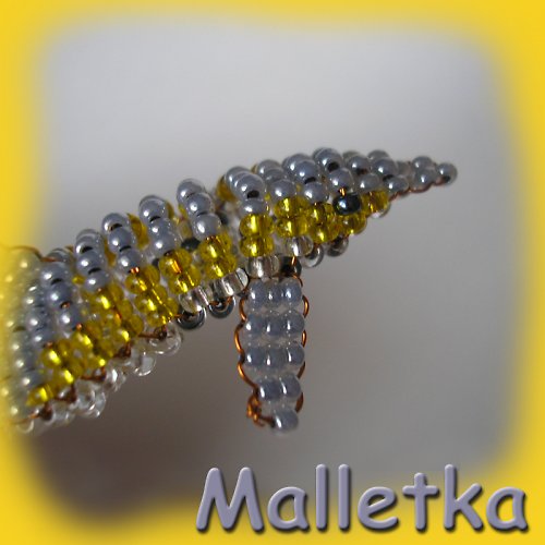 Delfínek — foto 4