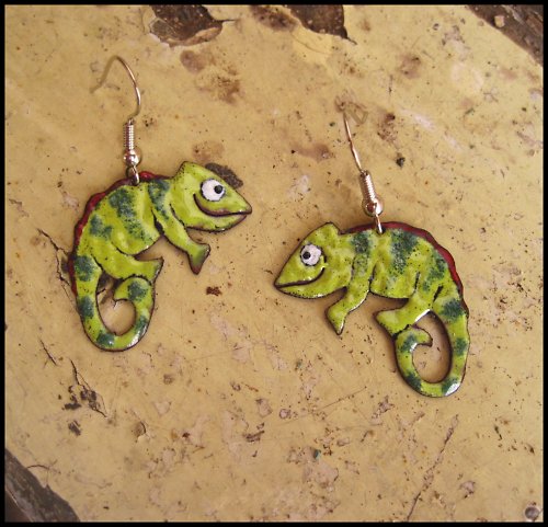 Chameleonci proužkatí — foto 2