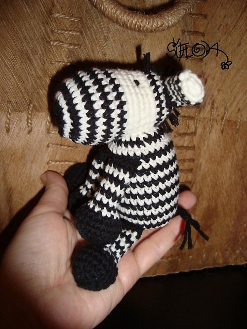 Zebra — foto 3
