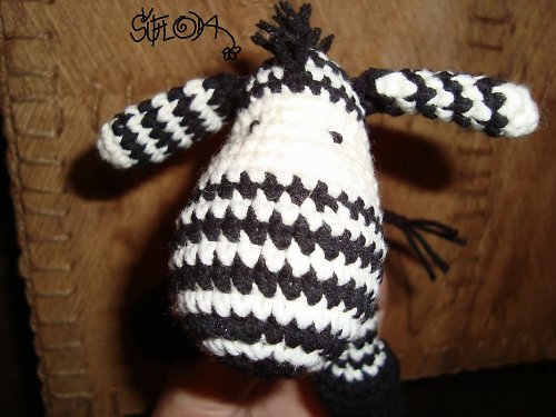 Zebra — foto 4
