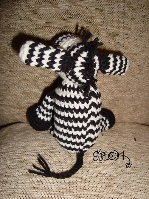 Zebra — foto 6