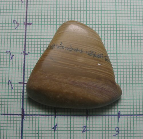 Dendritický opál č6 — foto 2