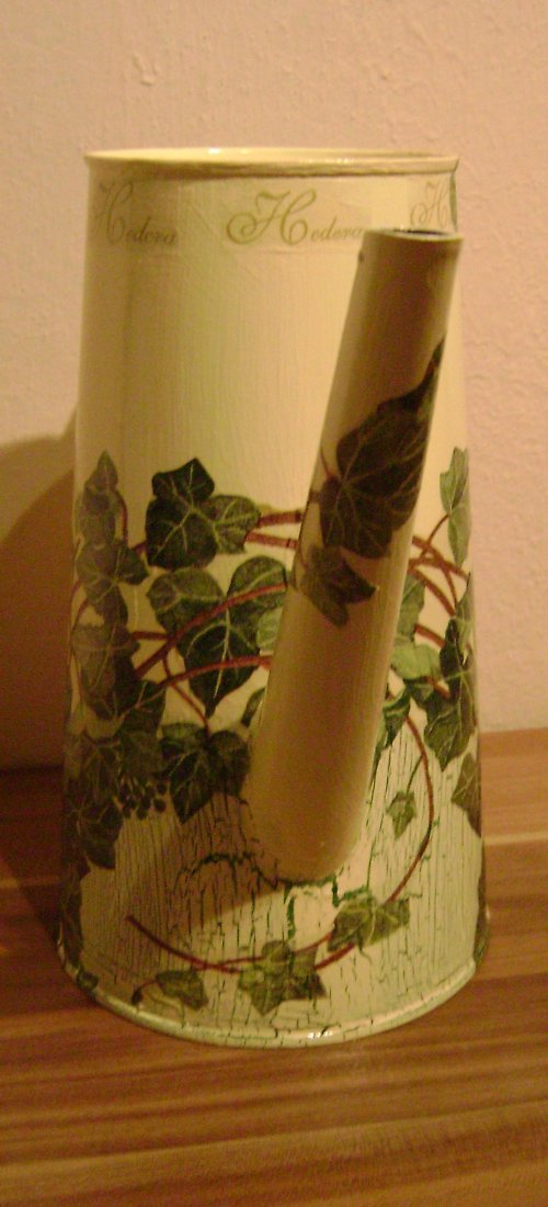 Hedera — foto 2