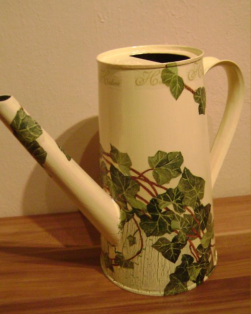 Hedera — foto 3