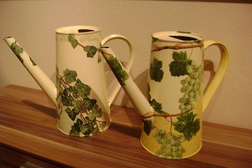Hedera — foto 4