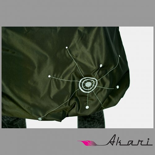 Silver Target — foto 4