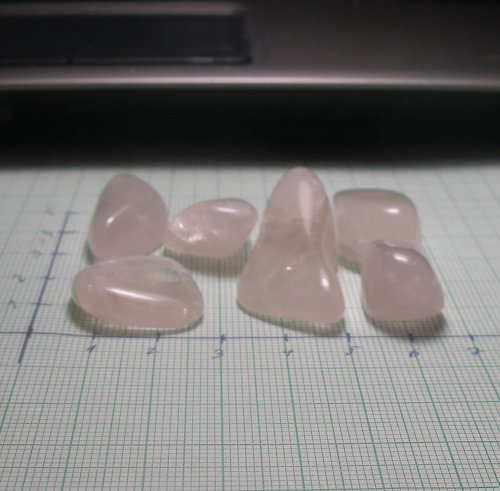 Růženíny ČR, 6ks — foto 2
