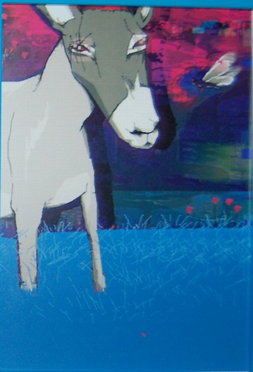 OSEL a moucha- — foto 2