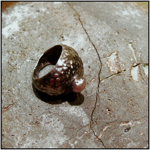 Perlí — foto 2