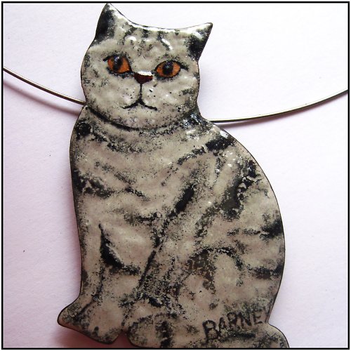 Kocour Barney — foto 2