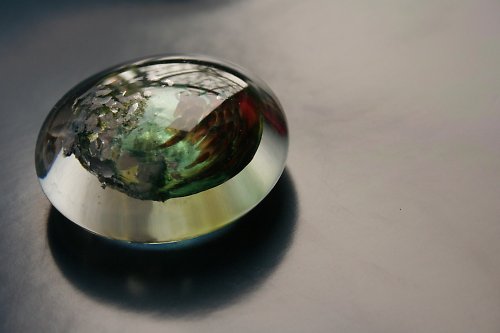 Červenozelenotřpytivé — foto 3