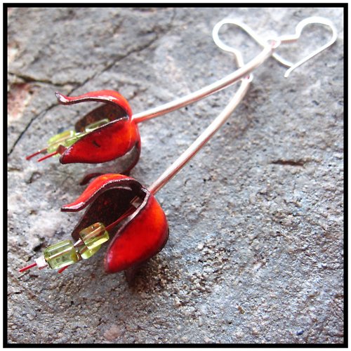 Tulipánky.. — foto 3