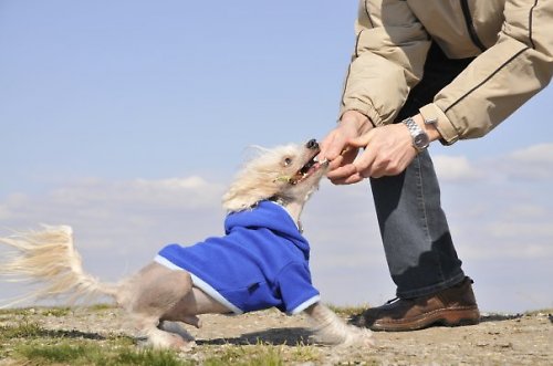 Friends forever - modrý — foto 5