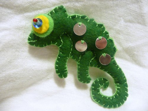 Chameleon klučičí — foto 2