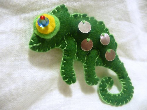 Chameleon klučičí — foto 3