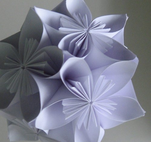 Ranní rosa — foto 2