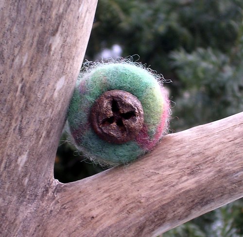 Eukalyptus — foto 2