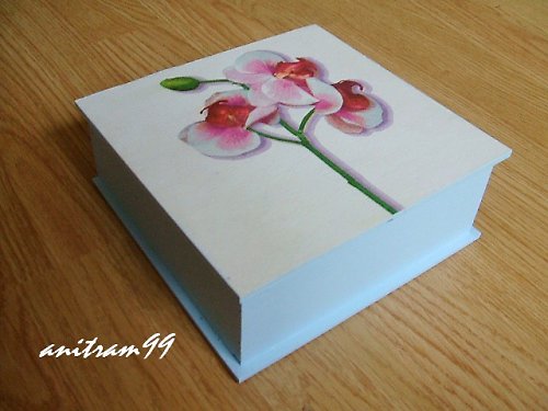 Orchidej - SLEVA — foto 2