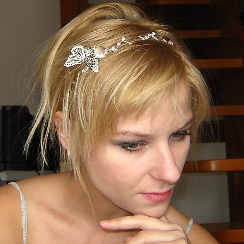 Diamantový motýlek — foto 3