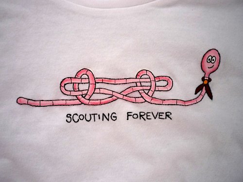 Scouting forever:) — foto 3