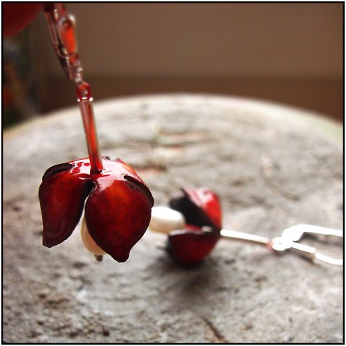 Tulipánky s perlou... — foto 3