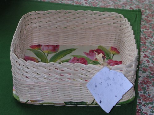 Ubrouskovník tulipánkový — foto 3