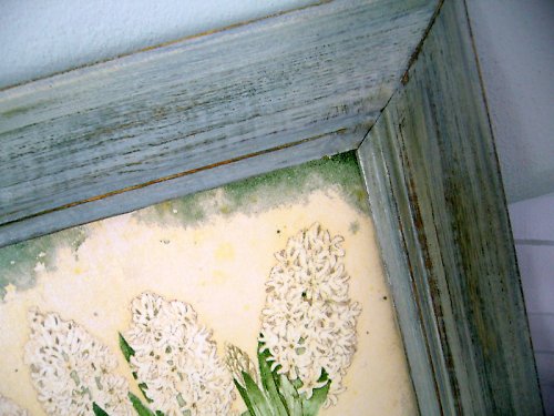 Obrázek hyacinty — foto 2