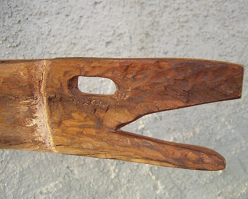 Dvojí ryba — foto 3