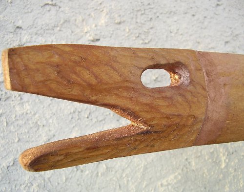 Dvojí ryba — foto 5