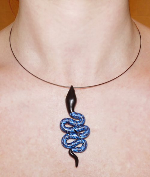 Serpentes caeruleus — foto 3