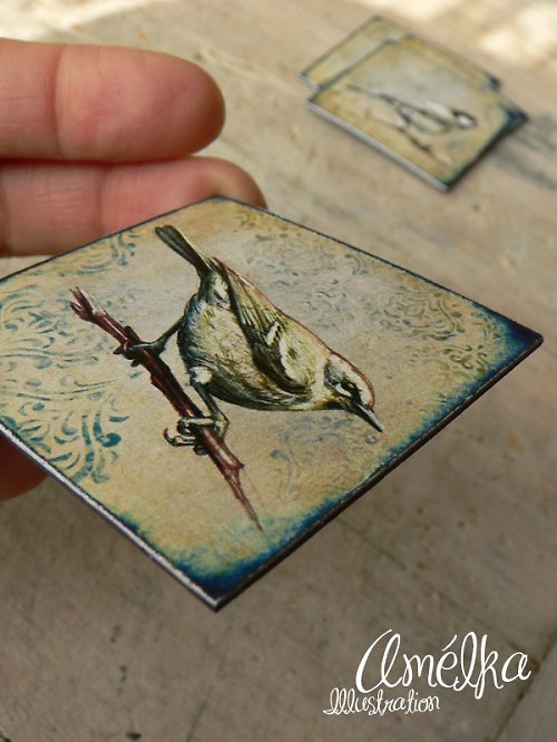 Art 4 z ptačí říše - magnet — foto 2