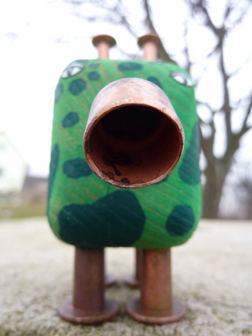 Pepíček - z rodu kvadrochobotnatců — foto 5