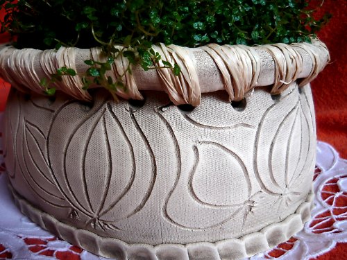 Cibulová přírodní — foto 2