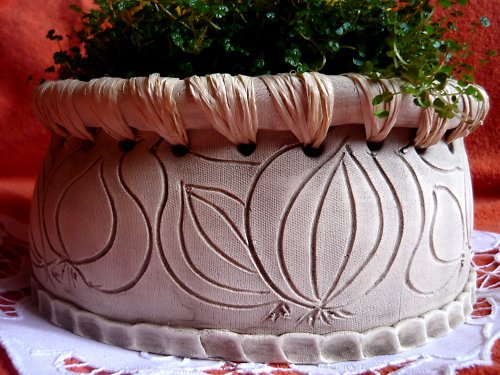 Cibulová přírodní — foto 3