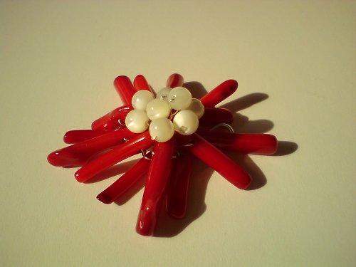Flor — foto 2