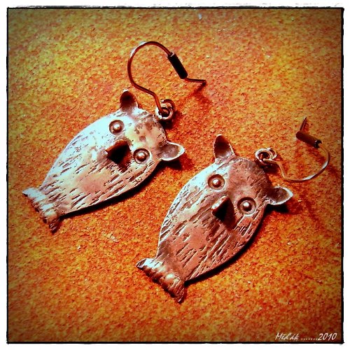 Bubo a Bubo.... — foto 3