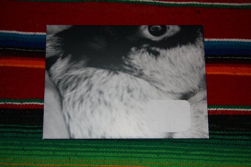 Sada 12ti recy obálek - Black&White — foto 2